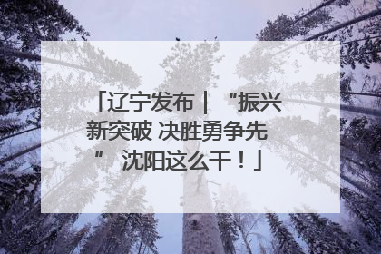 辽宁发布｜“振兴新突破 决胜勇争先” 沈阳这么干！