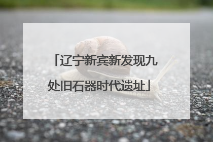 辽宁新宾新发现九处旧石器时代遗址
