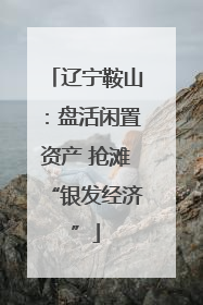 辽宁鞍山：盘活闲置资产 抢滩“银发经济”