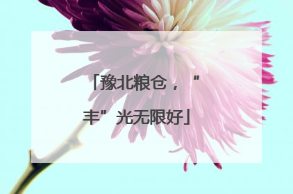 豫北粮仓，“丰”光无限好