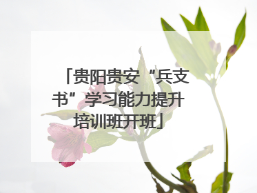 贵阳贵安“兵支书”学习能力提升培训班开班