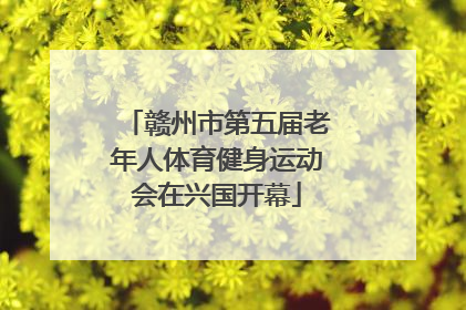 赣州市第五届老年人体育健身运动会在兴国开幕