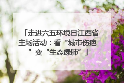 走进六五环境日江西省主场活动：看“城市伤疤”变“生态绿肺”