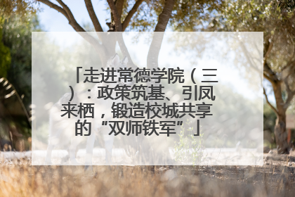 走进常德学院（三）：政策筑基、引凤来栖，锻造校城共享的“双师铁军”