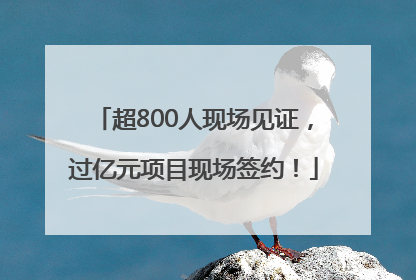 超800人现场见证，过亿元项目现场签约！