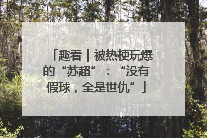 趣看｜被热梗玩爆的“苏超”：“没有假球，全是世仇”