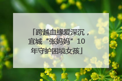 跨越血缘爱深沉，宜城“张妈妈”10年守护困境女孩