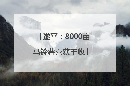 遂平：8000亩马铃薯喜获丰收
