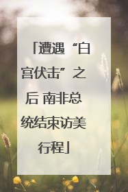 遭遇“白宫伏击”之后 南非总统结束访美行程