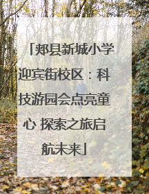 郏县新城小学迎宾街校区：科技游园会点亮童心 探索之旅启航未来