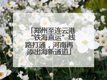 郑州至连云港“铁海直运”线路打通，河南再添出海新通道