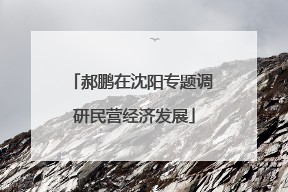 郝鹏在沈阳专题调研民营经济发展