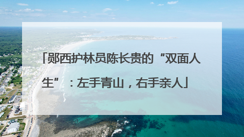 郧西护林员陈长贵的“双面人生”：左手青山，右手亲人