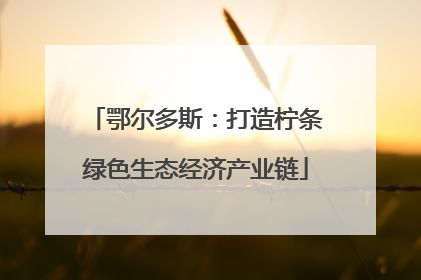 鄂尔多斯：打造柠条绿色生态经济产业链