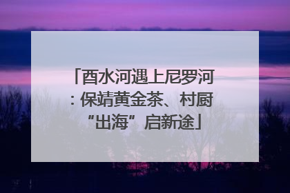 酉水河遇上尼罗河：保靖黄金茶、村厨“出海”启新途