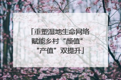 重塑湿地生命网络 赋能乡村“颜值”“产值”双提升