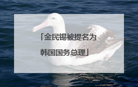 金民锡被提名为韩国国务总理