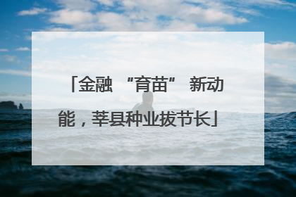 金融 “育苗” 新动能，莘县种业拔节长