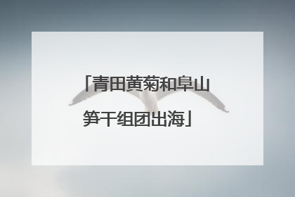 青田黄菊和阜山笋干组团出海