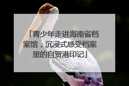 青少年走进海南省档案馆，沉浸式感受档案里的自贸港印记