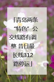 青岛两条“特色”公交线路有调整 昔日最长线312路停运