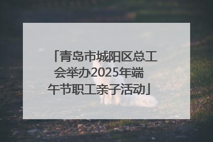 青岛市城阳区总工会举办2025年端午节职工亲子活动
