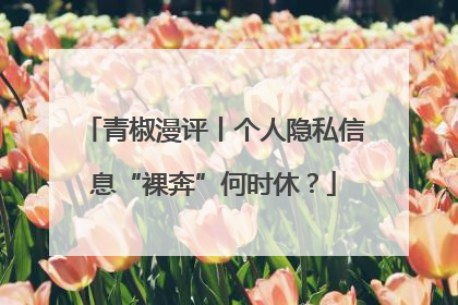 青椒漫评丨个人隐私信息“裸奔”何时休？