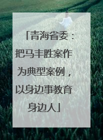 青海省委：把马丰胜案作为典型案例，以身边事教育身边人