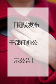 铜陵发布干部任前公示公告