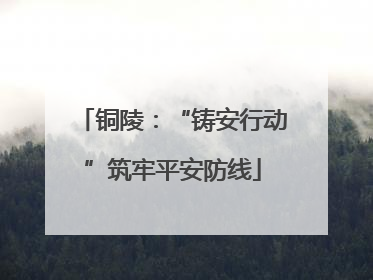 铜陵：“铸安行动”筑牢平安防线