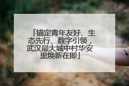 锚定青年友好、生态先行、数字引领，武汉最大城中村华安里焕新在即