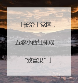 长治上党区：五彩小西红柿成“致富果”