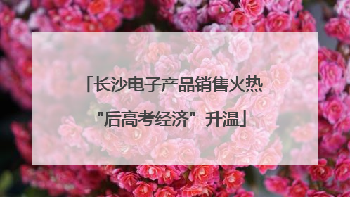 长沙电子产品销售火热 “后高考经济”升温
