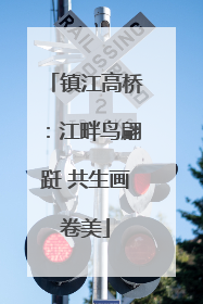 镇江高桥：江畔鸟翩跹 共生画卷美