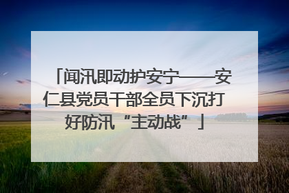 闻汛即动护安宁——安仁县党员干部全员下沉打好防汛“主动战”