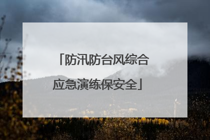 防汛防台风综合应急演练保安全