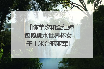 陈芋汐和全红婵包揽跳水世界杯女子十米台冠亚军
