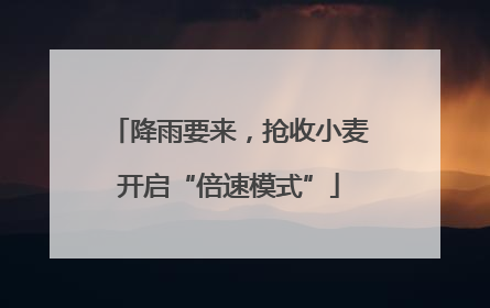 降雨要来，抢收小麦开启“倍速模式”