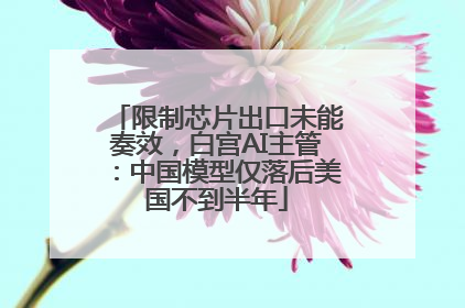 限制芯片出口未能奏效，白宫AI主管：中国模型仅落后美国不到半年