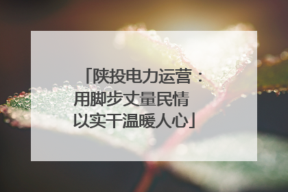 陕投电力运营：用脚步丈量民情 以实干温暖人心