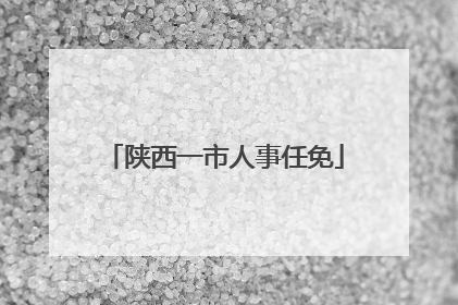 陕西一市人事任免