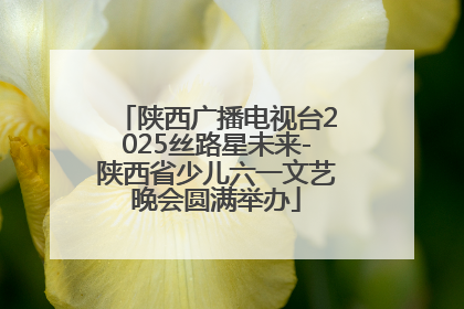 陕西广播电视台2025丝路星未来-陕西省少儿六一文艺晚会圆满举办