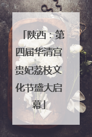 陕西：第四届华清宫贵妃荔枝文化节盛大启幕