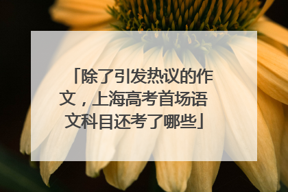 除了引发热议的作文，上海高考首场语文科目还考了哪些