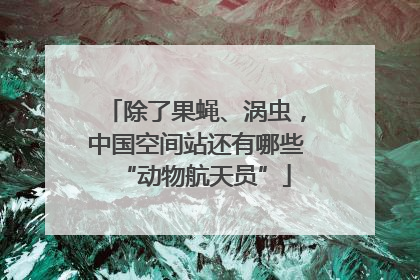 除了果蝇、涡虫，中国空间站还有哪些“动物航天员”