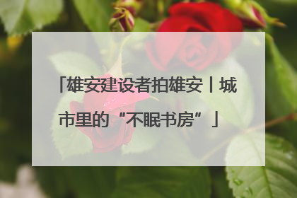 雄安建设者拍雄安丨城市里的“不眠书房”