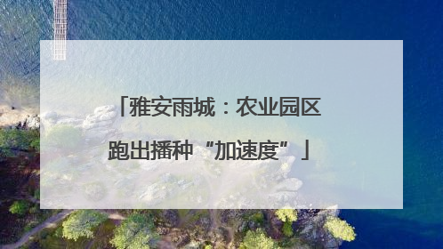 雅安雨城：农业园区跑出播种“加速度”