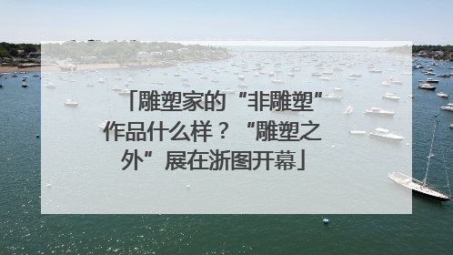 雕塑家的“非雕塑”作品什么样？“雕塑之外”展在浙图开幕