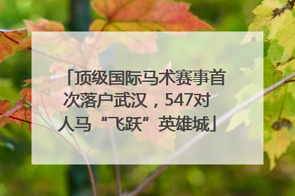 顶级国际马术赛事首次落户武汉，547对人马“飞跃”英雄城