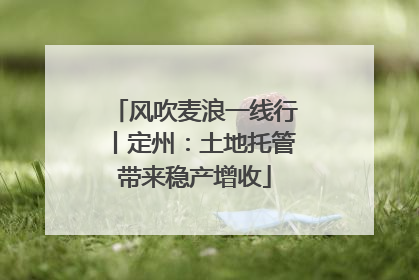 风吹麦浪一线行丨定州：土地托管带来稳产增收